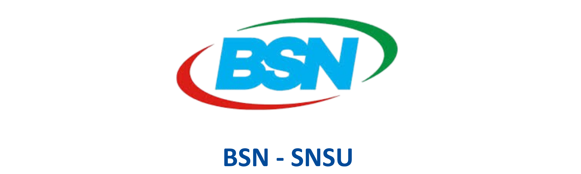 Badan Standardisasi Nasional